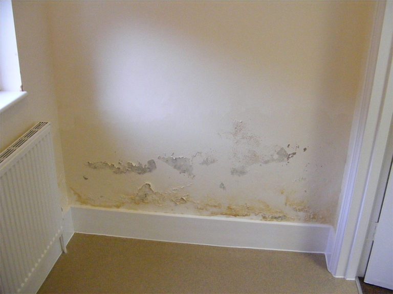 Rising Damp RTC Group   Internal Rising Damp 768x576 