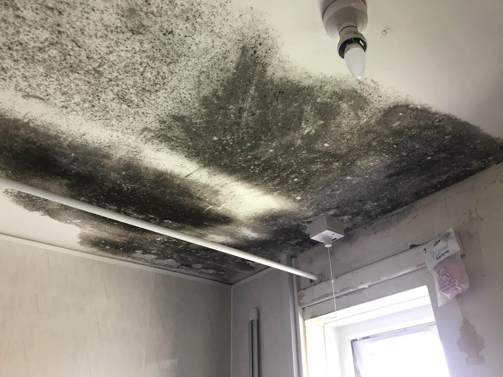 Mould