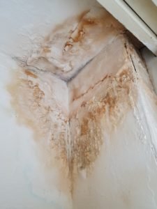 Residual salt contamination