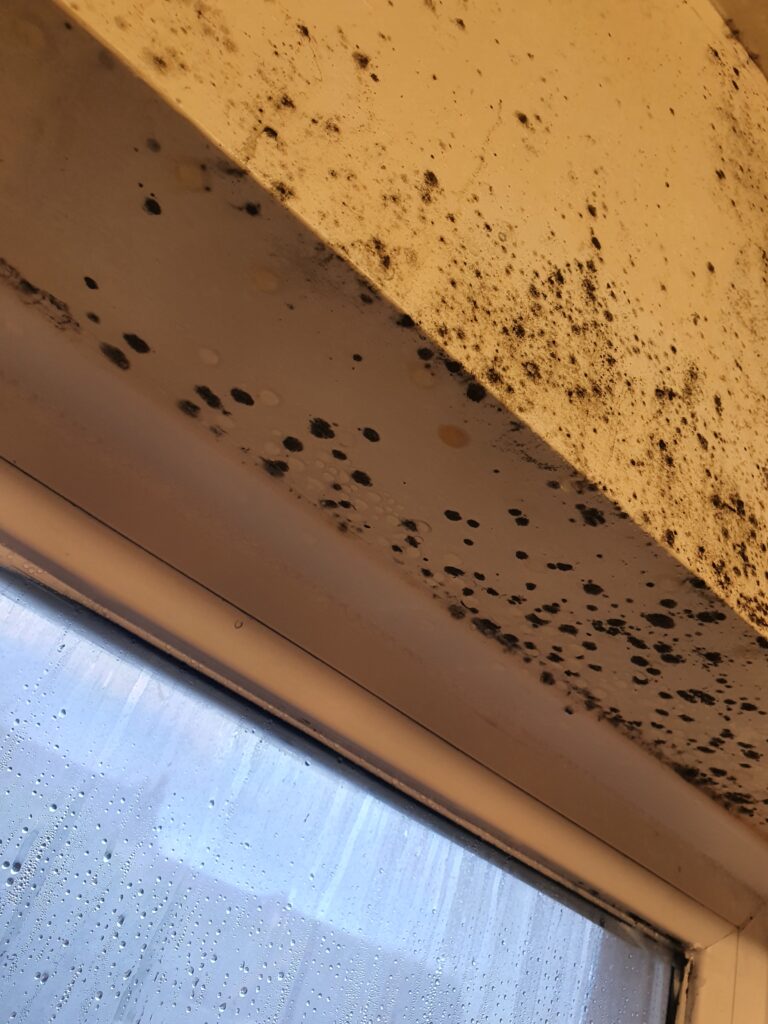 Condensation and mould