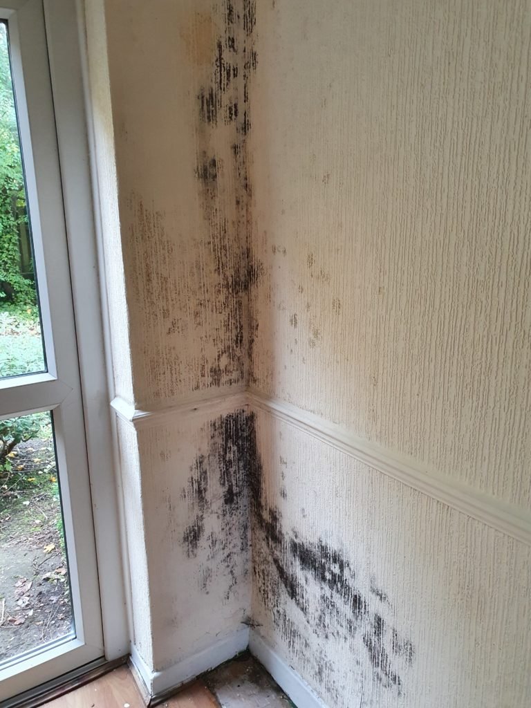 Mould