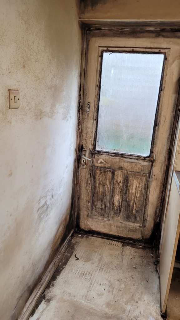 Mould