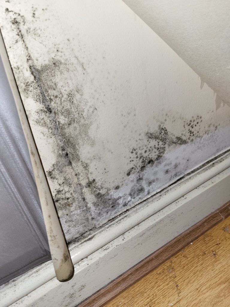 Mould