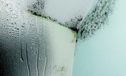 Condensation on a window