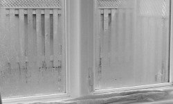 Condensation on a window