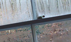 Condensation on a window