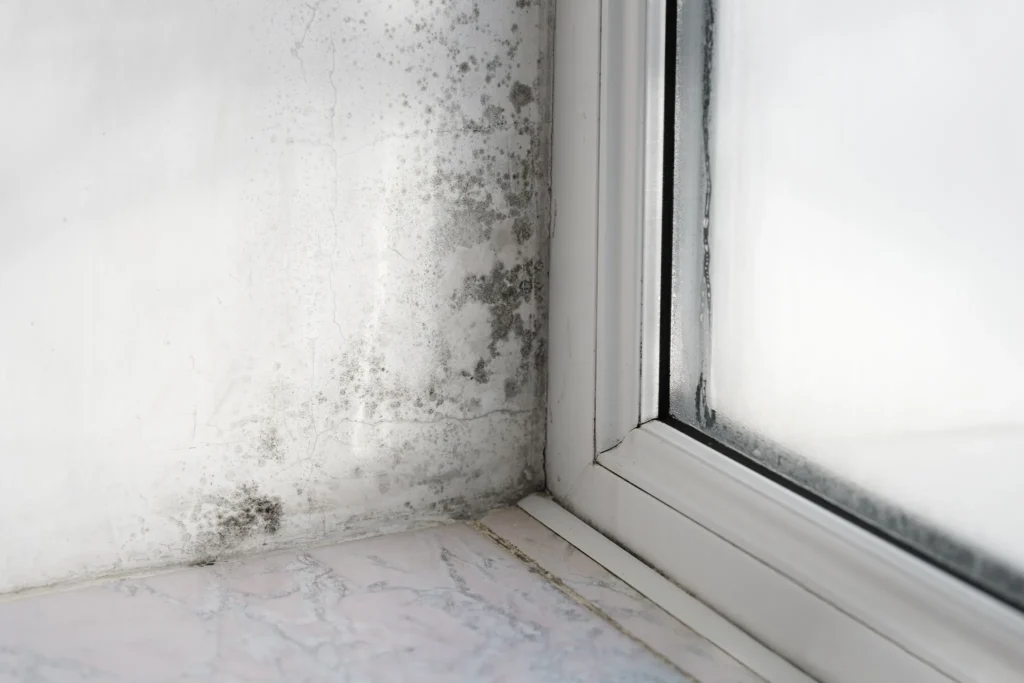 ventilation issues causing damp mould and condensation